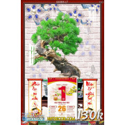 Lịch tết tranh bonsai, Mai Đào tết-003BS LT