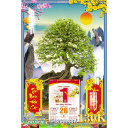Lịch tết tranh bonsai, Mai Đào tết-013BS LT