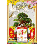 Lịch tết tranh bonsai, Mai Đào tết-055BS LT