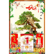 Lịch tết tranh bonsai, Mai Đào tết-063BS LT