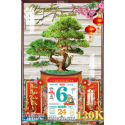 Lịch tết tranh bonsai, Mai Đào tết-107BS LT