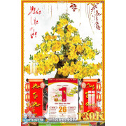 Lịch tết tranh bonsai, Mai Đào tết-163BS LT