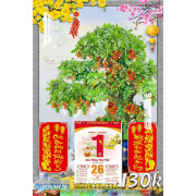 Lịch tết tranh bonsai, Mai Đào tết-209BS LT
