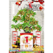 Lịch tết tranh bonsai, Mai Đào tết-218BS LT