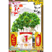 Lịch tết tranh bonsai, Mai Đào tết-227BS LT