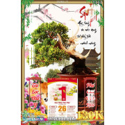 Lịch tết tranh bonsai, Mai Đào tết-252BS LT