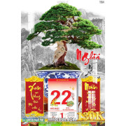 Lịch tết tranh bonsai, Mai Đào tết-273BS LT