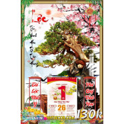 Lịch tết tranh bonsai, Mai Đào tết-338BS LT