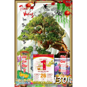 Lịch tết tranh bonsai, Mai Đào tết-343BS LT
