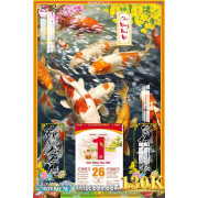 Lịch tết tranh hoa sen, cá chép-3689TCK LT