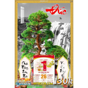 Lịch tết tranh bonsai, Mai Đào tết-385BS LT