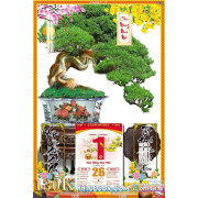 Lịch tết tranh bonsai, Mai Đào tết-456BS LT