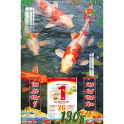 Lịch tết tranh hoa sen, cá chép-4691TCK LT