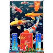 Lịch tết tranh hoa sen, cá chép-4701TCK LT