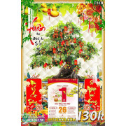 Lịch tết tranh bonsai, Mai Đào tết-528BS LT