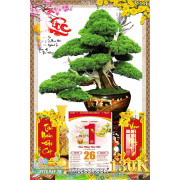 Lịch tết tranh bonsai, Mai Đào tết-553BS LT