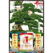 Lịch tết tranh bonsai, Mai Đào tết-594BS LT
