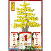 Lịch tết tranh bonsai, Mai Đào tết-672BS LT