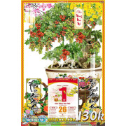 Lịch tết tranh bonsai, Mai Đào tết-722BS LT