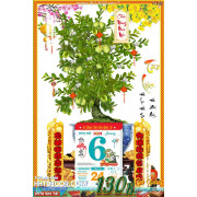 Lịch tết tranh bonsai 18 2 2022 van LT