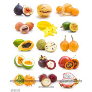Tranh những loại quả giàu vitamin in uv bếp