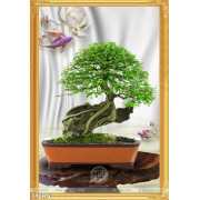 Tranh bonsai và cá giả ngọc 3d