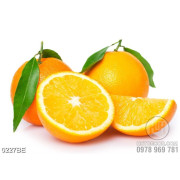 Tranh những trái cam tươi trang trí bếp