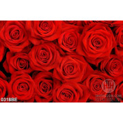Tranh hoa hồng đỏ treo tường bếp