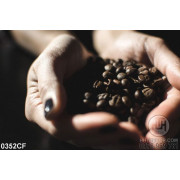 Tranh những hạt cà phê trong lòng bàn tay 3d