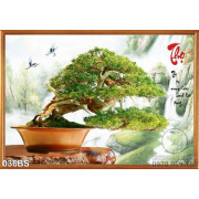 Tranh bonsai chữ thọ nghệ thuật