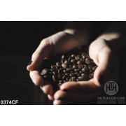 Tranh những hạt cà phê trong lòng đôi bàn tay 