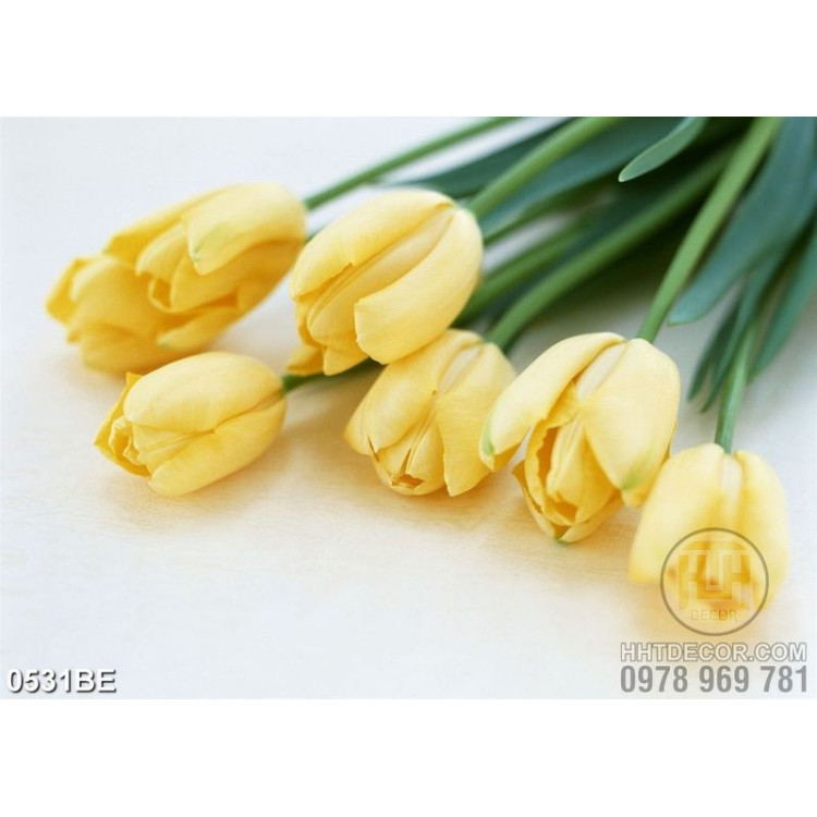 Tranh hoa tulip vàng trên bàn in bếp