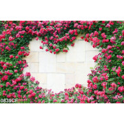 Tranh tường hoa hồng hình trái tim của quán cà phê