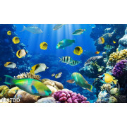 Tranh Đại Dương, cá heo 3D trang trí phòng ăn