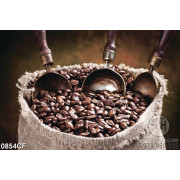 Tranh chiếc bì đựng đầy hạt cà phê nguyên chất