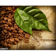 Tranh chiếc lá xanh trên hạt cà phê 3d