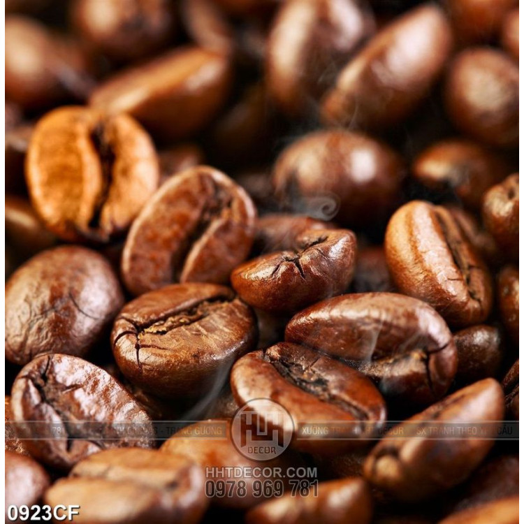 Tranh những hạt cà phê vừa rang nối hổi