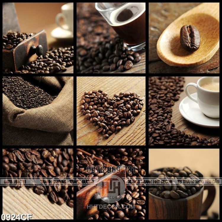 Tranh quá trình chế biến những hạt cà phê thơm ngon
