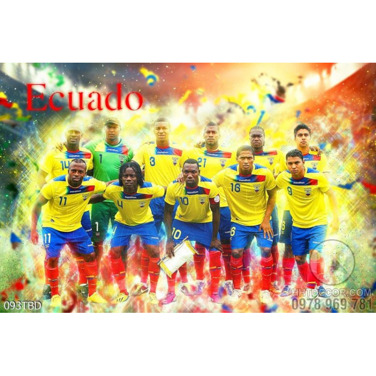 Tranh đội tuyển quốc gia Ecuado