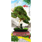 Tranh bonsai và cái bàn gỗ chữ đức