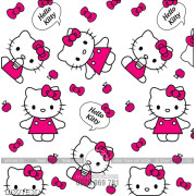 Tranh Hello kitty chất lượng cao