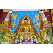 Tranh tượng thờ Phật Tổ trong chùa