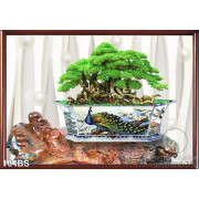 Tranh bonsai cổ thụ và chim công đẹp