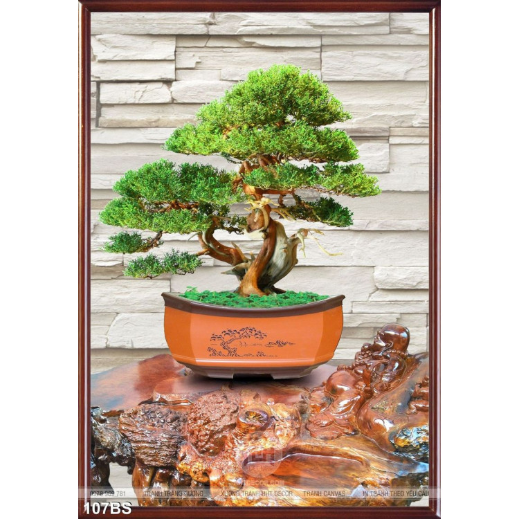 Tranh bonsai và cái bàn gỗ đẹp