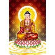 Tranh Phật A Di Đà in kính chất lượng cao