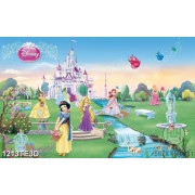 Tranh thế giới công chúa Disney file psd