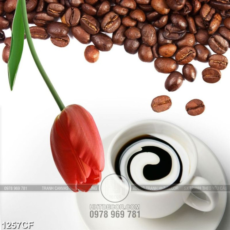 Tranh bông tulip bên những hạt cà phê đen