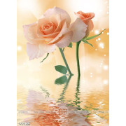 Tranh hoa hồng trên mặt nước treo bếp