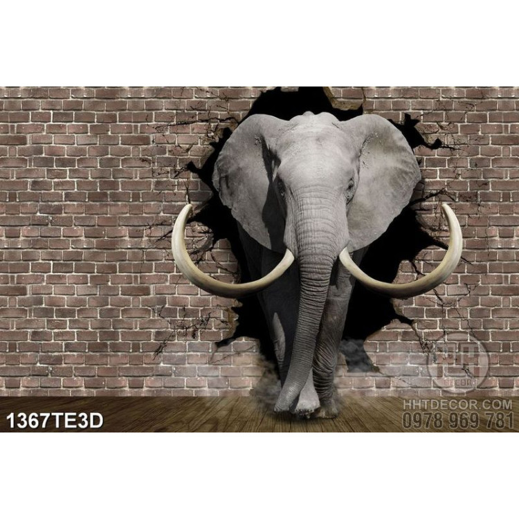Tranh 3D chú voi in tường chất lượng cao