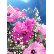 Tranh những bông hoa khoe sắc hồng treo bếp